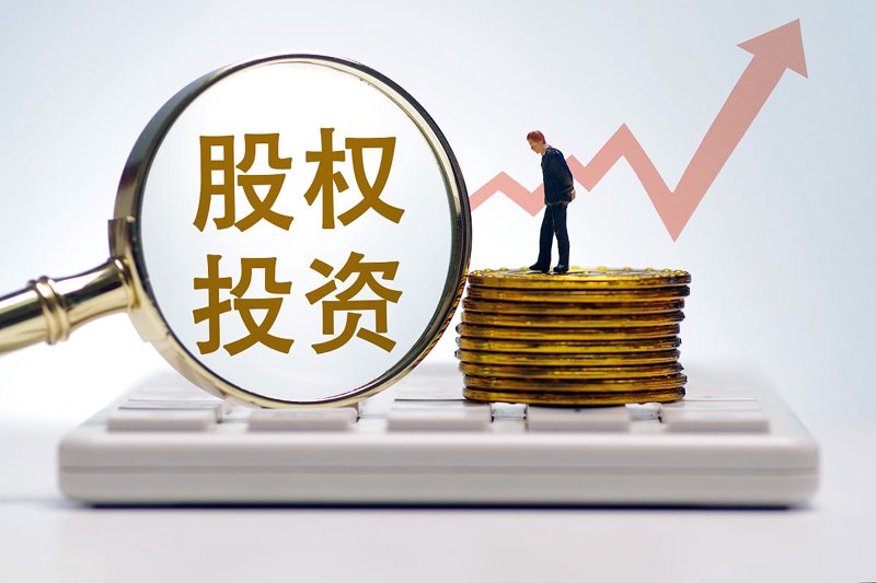 新手必备：投资管理选购指南
